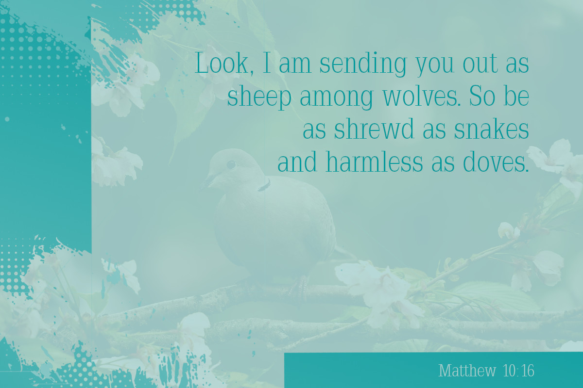 Look, I am sending you out as sheep among wolves. So be as shrewd as snakes and harmless as doves. Matthew 10:16