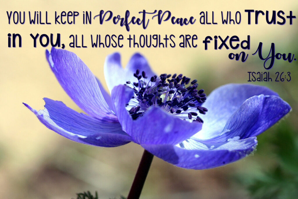 You will keep in perfect peace all who trust in You. All whose thoughts are fixed on You. Isaiah 26:3 