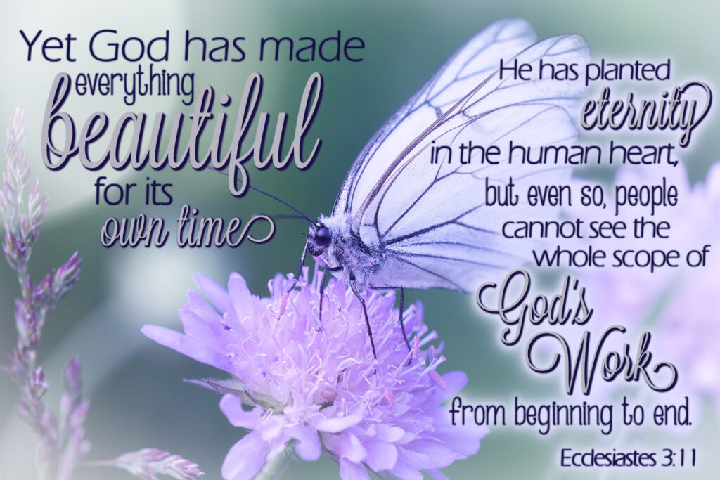 Yet God has made everything beautiful for its own time. He has planted eternity in the human heart, but even so, people cannot see the whole scope of God's work from beginning to end. Ecclesiastes 3:11