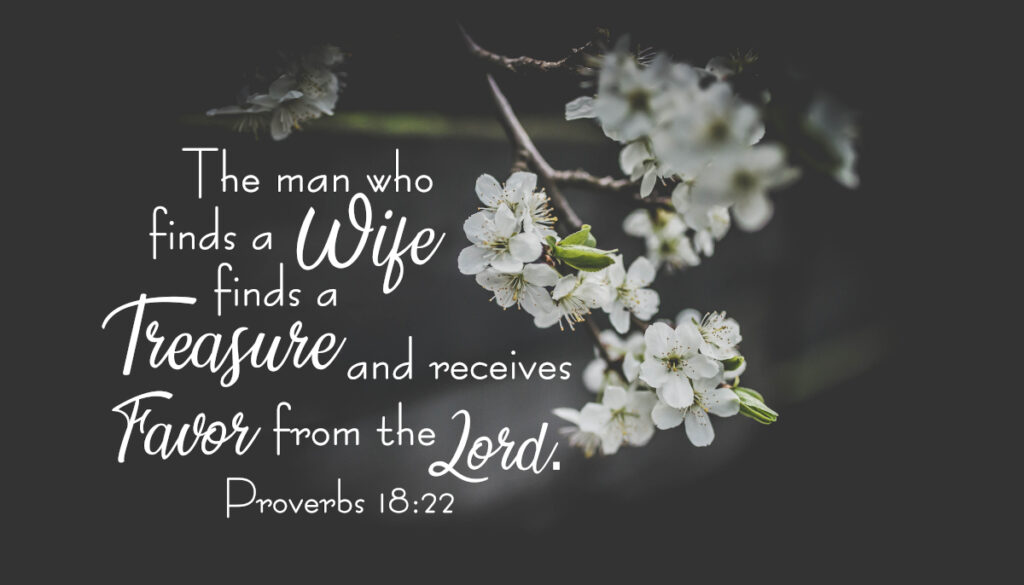 The man who finds a wife finds a treasure and he receives favor from the Lord. Proverbs 18:22