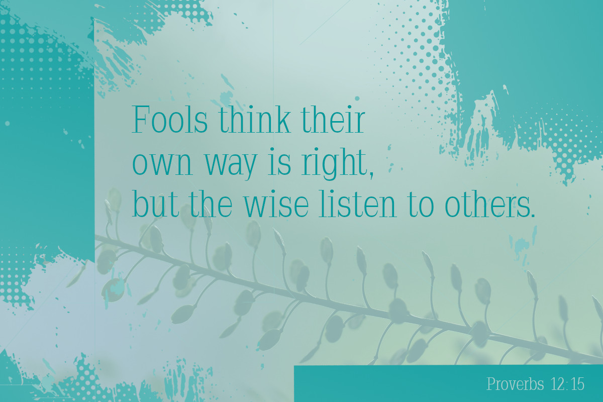 Fools think their own way is right, but the wise listen to others. Proverbs 12:15